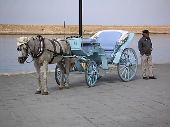 hania-horse-buggy.jpg - 51286 Bytes